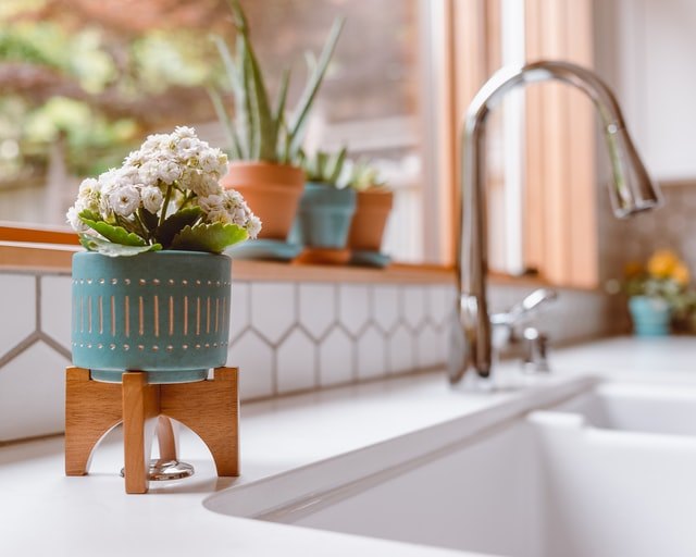 Pot plants by kitchen sink