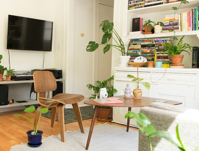 Loungeroom with pot plants