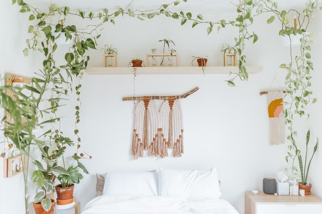 Bedroom with indoor plants