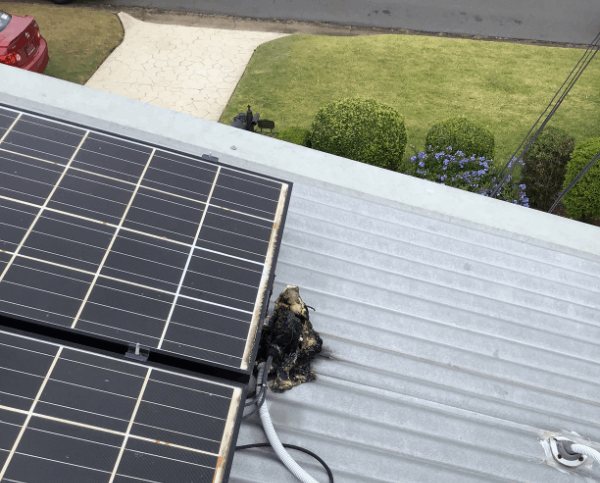 Rooftop solar panel and burnt solar isolator