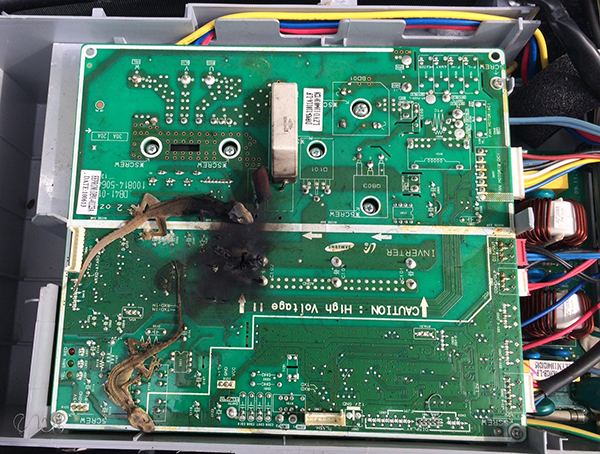 Gecko on air conditioner circuit board