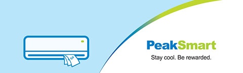 Energex Positive Payback PeakSmart logo