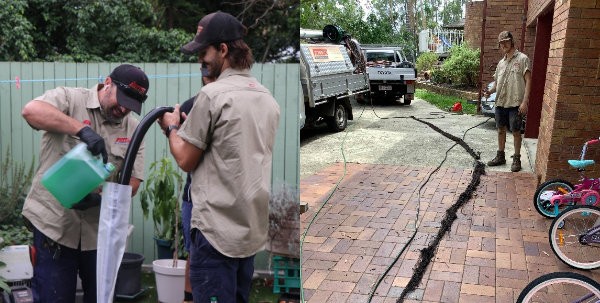 Root Removal From Drain