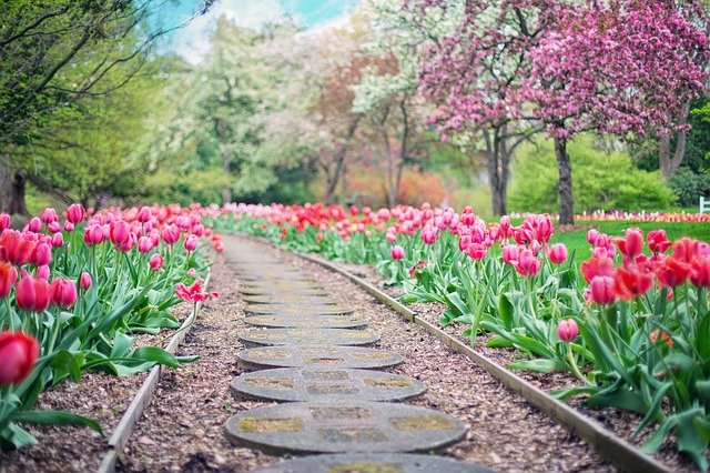 Fresh air garden